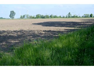 Property photo 23 - LAND AUCTION - 215+/- ACRES OFFERED IN 6 TRACTS IN VAN WERT COUNTY, OHIO